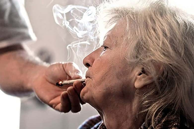Portrait of Cathy Jordan