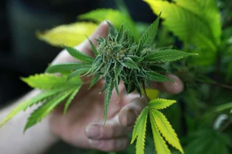 Florida Opens States First Medical Marijuana Dispensary