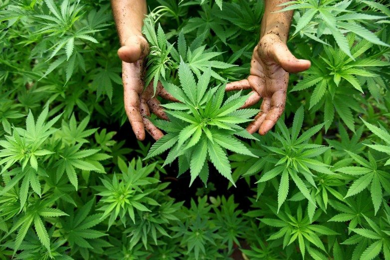23 Fantastic Health Benefits Of Medical Marijuana