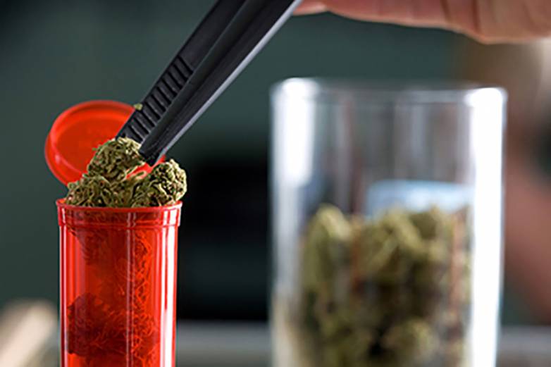 Hand using tongs to place cannabis buds into an open red medical prescription vial