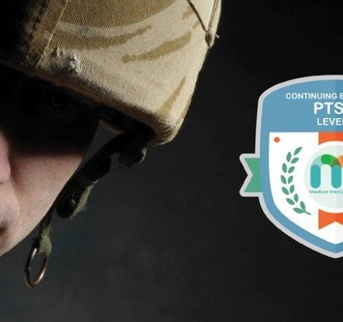 ptsdfeature-01-800x480
