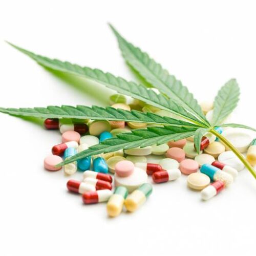 Can Medical Marijuana Help Overcome Opiate Withdrawal Symptoms