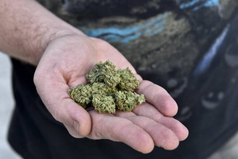 A debate on whether to legalize marijuana for recreational or medicinal uses in Mexico is in its infant stages, but Mexicans have used cannabis for therapeutic purposes for centuries (AFP Photo/Yuri Cortez) 