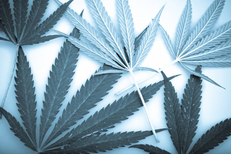 Illinois Children Will Soon Qualify for Medical Marijuana