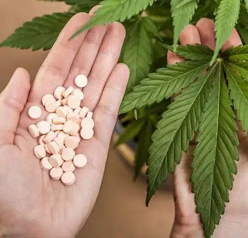 Patients Substitute Prescription Drugs with Cannabis