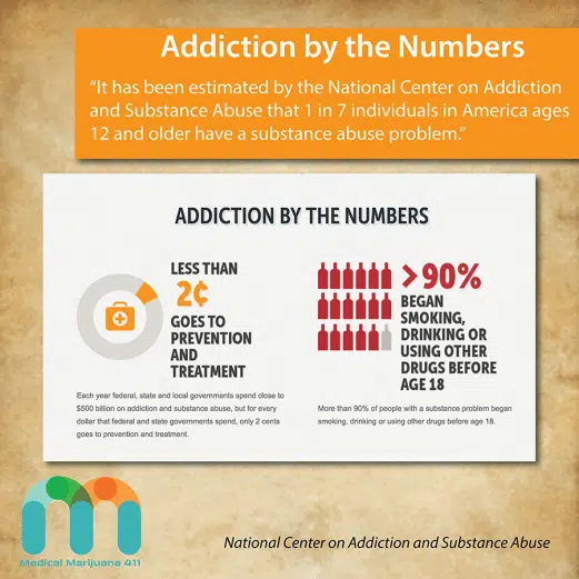 “It has been estimated by the National Center on Addiction and Substance Abuse that 1 in 7 individuals in America ages 12 and older have a substance abuse problem.” 