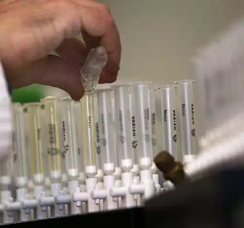blood testing for marijuana