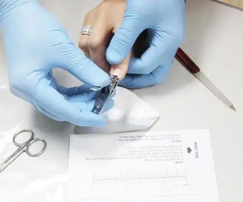 fingernail clipping for marijuana drug testing