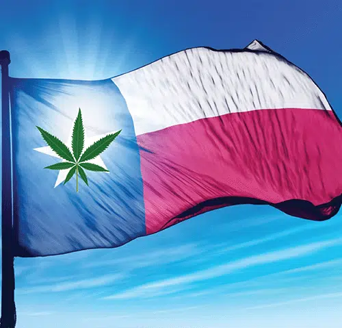 Texas Lawmakers Change Tune On Marijuana Laws