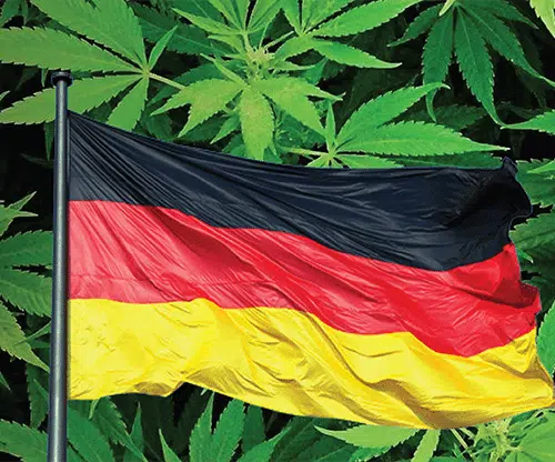 Medical Marijuana Maybe Coming Soon To German Pharmacies