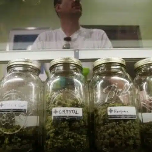 Medical Marijuana's Fate In California