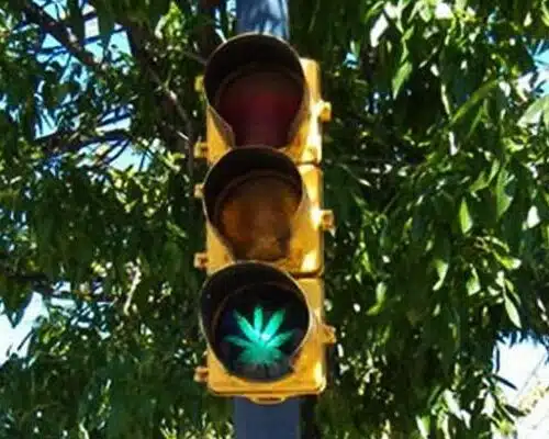 State Bill Would Create THC Limit for Stoned Drivers, but Scientists Say It's Useless