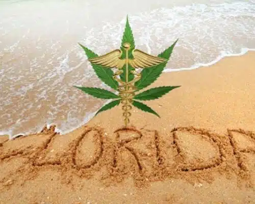 Proposed medical marijuana rules released by Florida officials