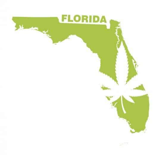 Florida - Amendment 2 Goes Into Effect