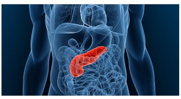 New Pancreatic Cancer and Medical Marijuana Study