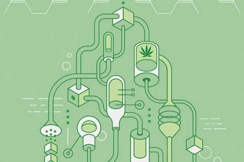THE STRANGER: THC Is Not What You Think It Is - Stop Talking About THC