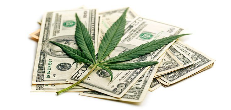 marijuana business revenues increase