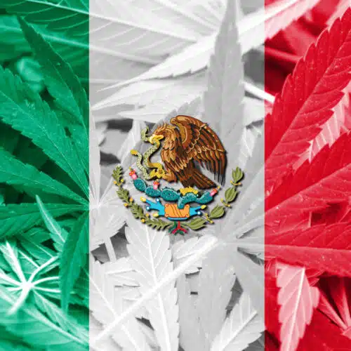 Mexico legalizes medical marijuana