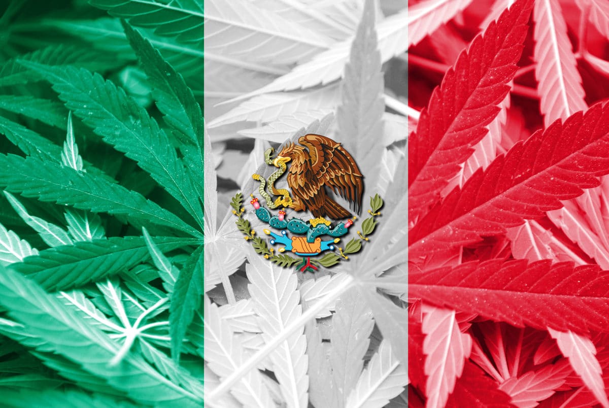 Mexico legalizes medical marijuana