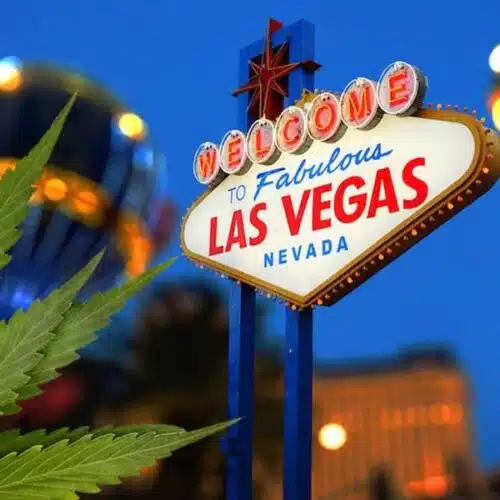 Nevada cannabis lounges coming soon