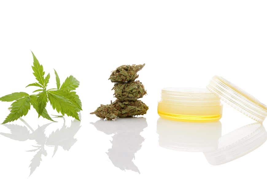 Cannabis leaf, stacked dried buds, and an open jar of amber cannabis salve on white