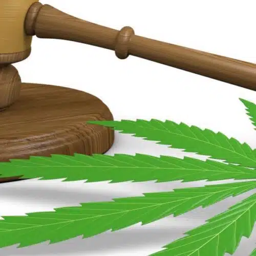 boehner-changes-cannabis-views