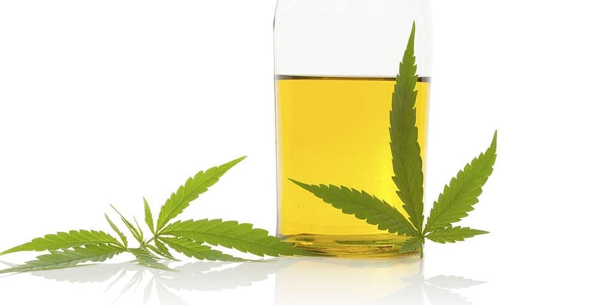 canadian-cannabis-grow
