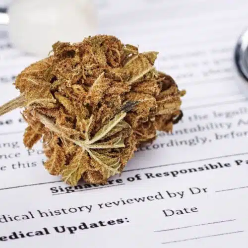 medical-cannabis-use