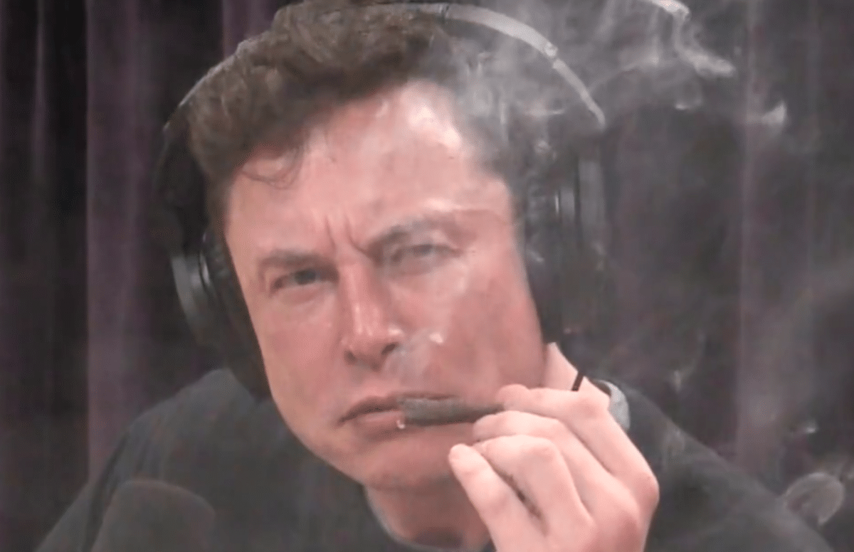 musk-consuming-cannabis
