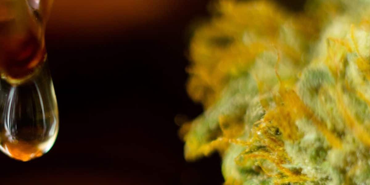military-veterans-cannabis