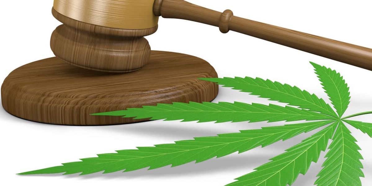 cannabis-ballot-measures