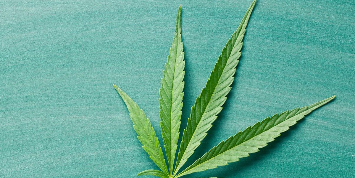 industrial-hemp-ban