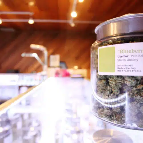 jar of cannabis on dispensary counter