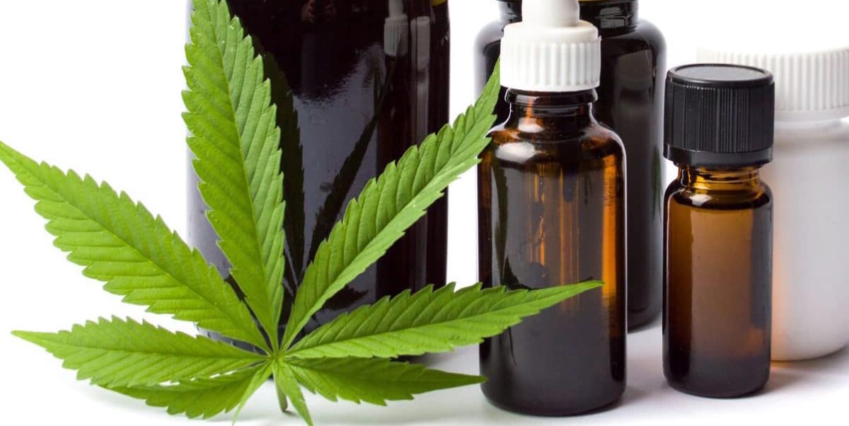 michigan-cannabis-legalization