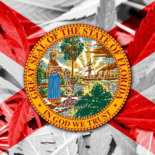 florida-cannabis-legalization-bill