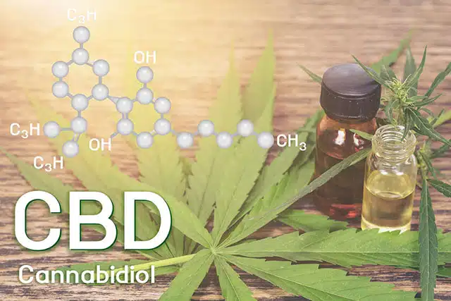 Cbd oil, Cannabis of the formula CBD.