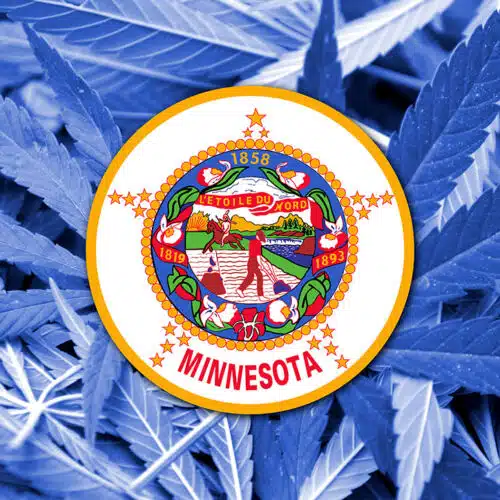 Minnesota State Flag on cannabis background.