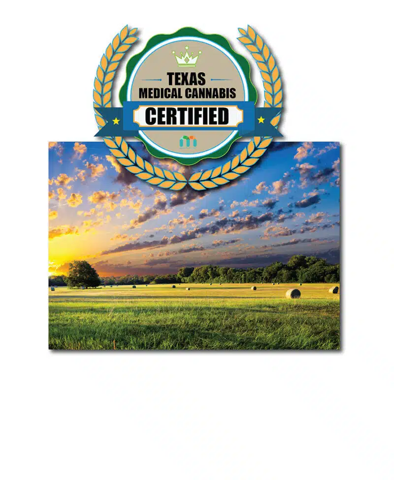 Texas Medical Cannabis Certificate Course