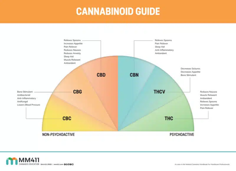 Cannabinoid Guide Infographic Poster