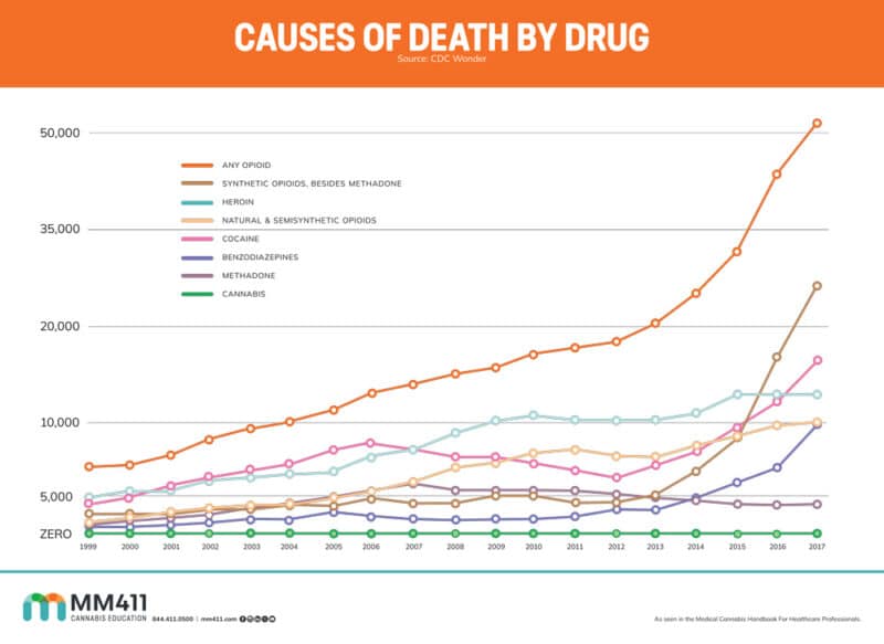 Causes of Death by Drug Infographic Poster