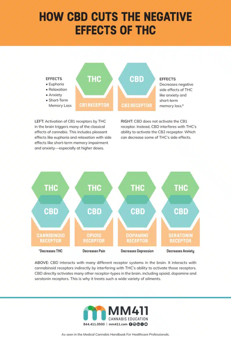 How CBD Cuts Negative Effects of THC Infographic Poster